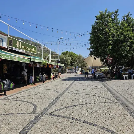 Malikane Villa Ortaca (Mugla)